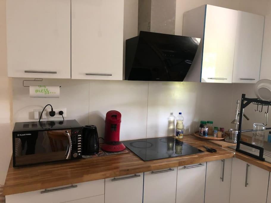 Logement Entier Entree Autonome Ch,Sdd,Cs Privatives Aussonne Buitenkant foto