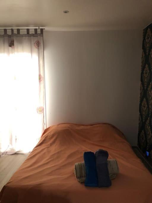 Logement Entier Entree Autonome Ch,Sdd,Cs Privatives Aussonne Buitenkant foto