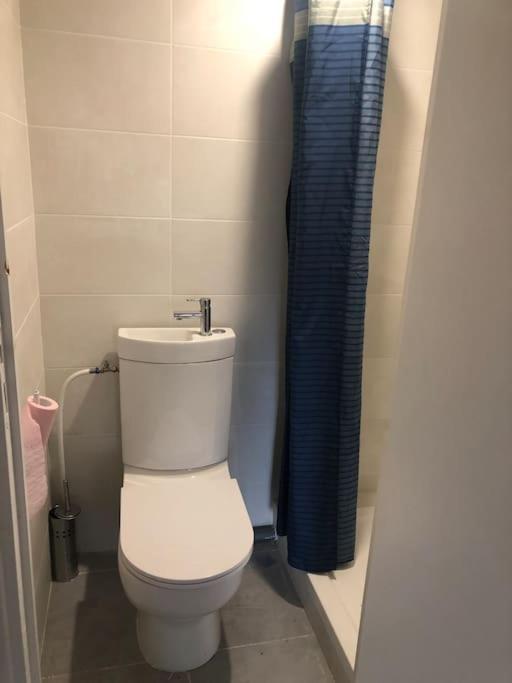 Logement Entier Entree Autonome Ch,Sdd,Cs Privatives Aussonne Buitenkant foto